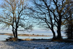 Søndag 16.januar