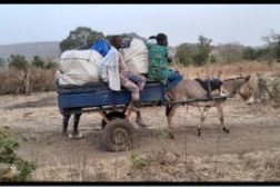 Reisebrev fra Mali februar 2020