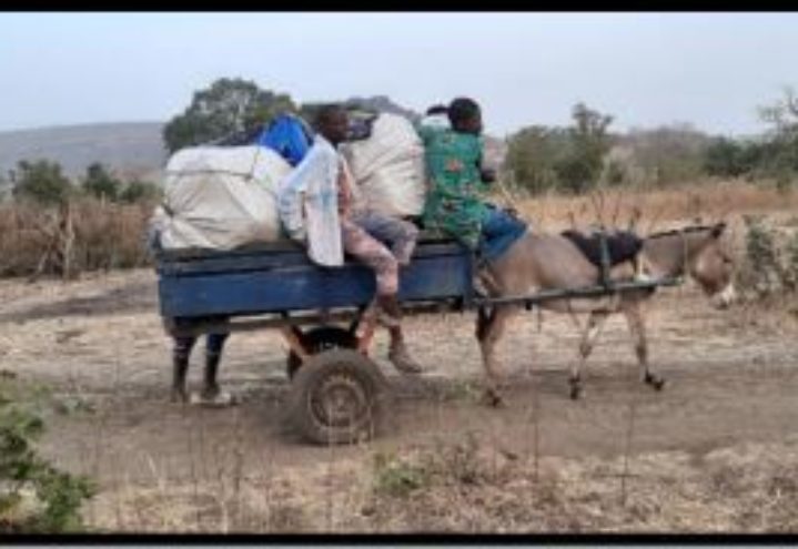 Reisebrev fra Mali februar 2020