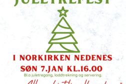 Juletrefest