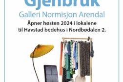 Galleri Normisjon avd Havstad