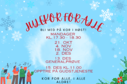 Julekor for alle