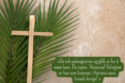 Palmesøndag-gudstjeneste